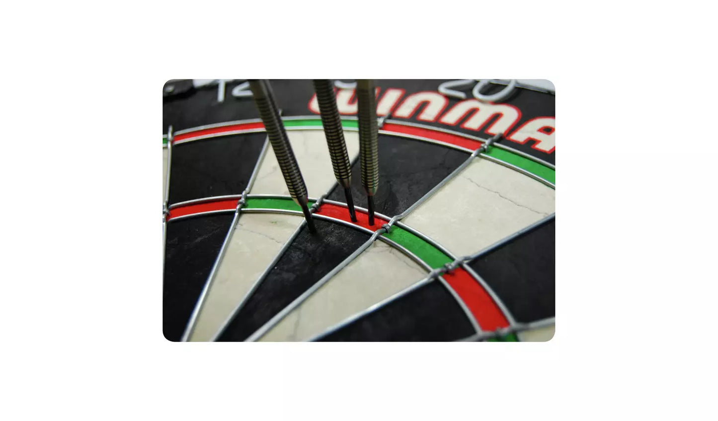 Winmau Masters Bristle Dartboard