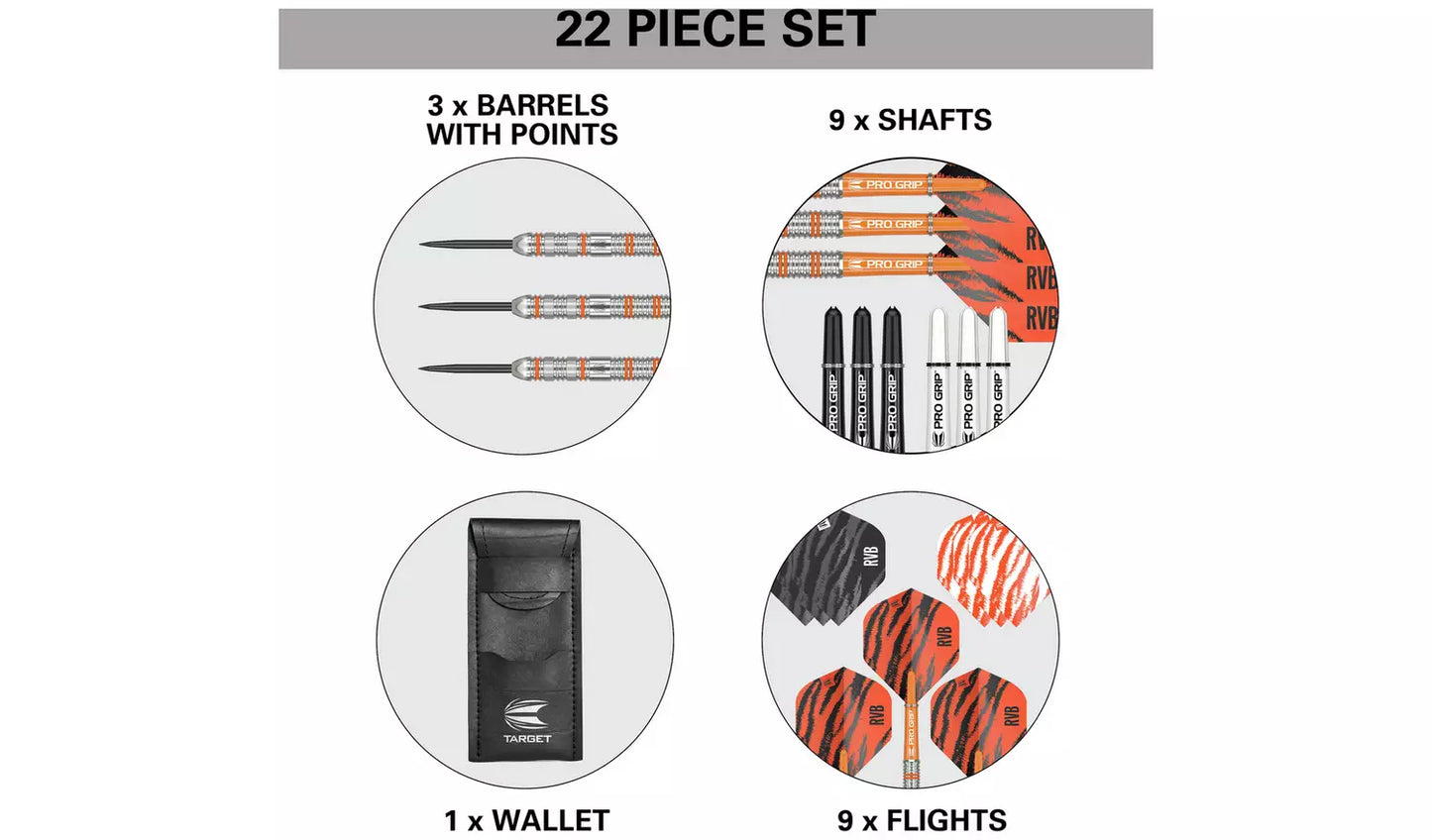 Target Raymond van Barneveld 23g Tungsten Darts Set